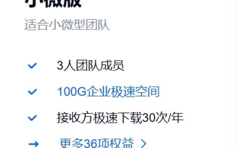 百度网盘 小微版 特权详细介绍