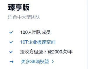 百度网盘 臻享版 企业特权详细介绍